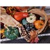 Image 3 : Basket of assorted Autumn & thanksgiving holiday decorating supplies.