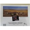 Image 3 : Great centennial cattle (9w6) drive