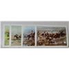 Image 1 : Set of 4, Charlie Russel placemats