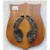 Image 2 : Horseshoes oxen, 1867 & lucky horse shoe centennial - signed by artist