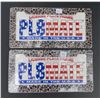 Image 1 : Pair of license plate frames - leopard motif