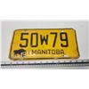 Image 1 : Manitoba license plate - 50W79