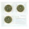 Image 1 : Lot of 3, Canadian Toronto Maple Leaf's (1917-2017) Loonies, in pilofilm