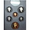 Image 3 : 1993 Double dollar proof set. Missing silver dollar