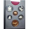 Image 2 : 1993 Double dollar proof set. Missing silver dollar