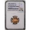 Image 1 : 2009-S Bronze Professional Life Lincoln Cent Coin NGC PF70RD Ultra Cameo