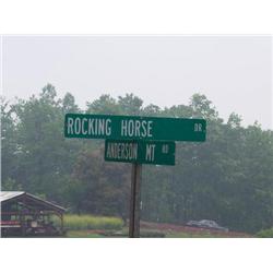 4727 Rocking Horse Drive