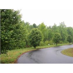 1113 McRee Heights Circle