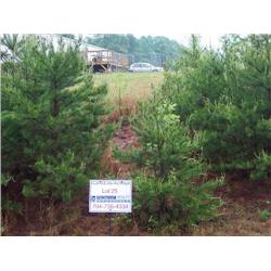 1128 Oswald T. Drive