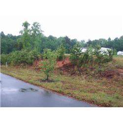 1132 Oswald T. Drive