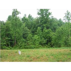 1116 McRee Heights Circle