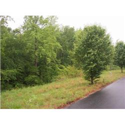 1155 McRee Heights Circle