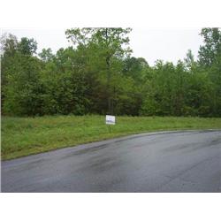 Sarah Elizabeth Drive