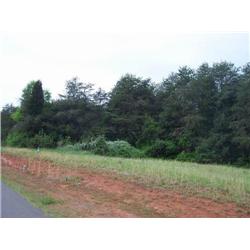 Grassy Meadows Court