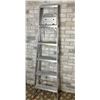 Image 1 : 6ft ladder