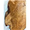 Image 5 : Large wooden slab