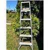Image 2 : 6' Ladder