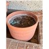 Image 2 : Various Planters