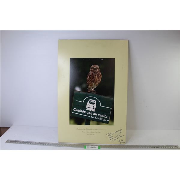 Owl Picture on Pressed Board (15.5" x 23.5")