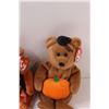 Image 4 : (3) TY Beanie Babies: Fall, Pumpkin, & Indigenous