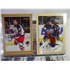 Image 6 : Binder of NHL Player Rick Nash Hockey Cards