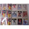Image 3 : Binder of 1990 O-PeeChee Premier Hockey Cards