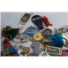Image 7 : Assorted Key Chains