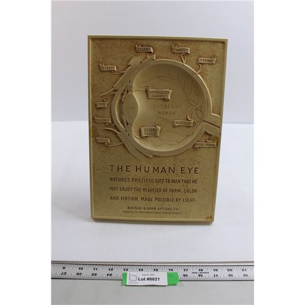 The Human Eye Art - 9 3/4" x 13 1/2"