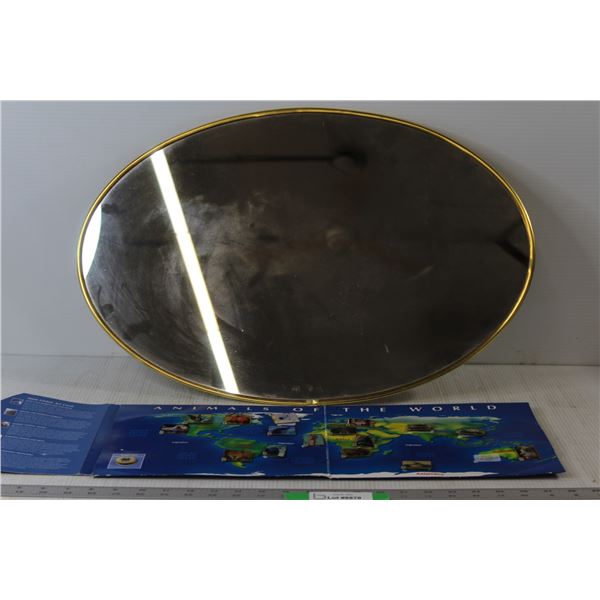 Oval Mirror - 24" x 16", Animals Of The World Pin Collection