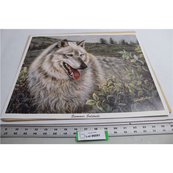 Summer Solitude Wolf by Gail Adams Print - 17 3/4" x 14 3/4"