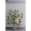 Image 1 : (10+) Sea Shells