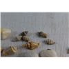 Image 5 : (10+) Sea Shells