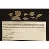 Image 2 : 2.8 GRAMS SHIPWRECK SILVER COINS PIECES FROM
