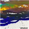Image 2 : Untitled by Wyland Original