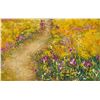Image 5 : Luminuse Provence by Duaiv