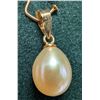 Image 1 : BZ2020-25C 14K FRESH WATER PEARL PENDANT