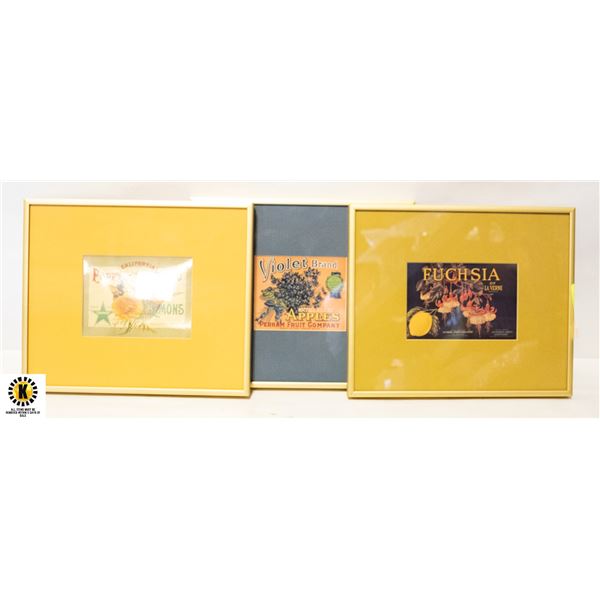 3 PICTURES 10.5" X 9"