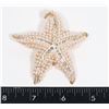 Image 1 : NEW LARGE RHINESTONE FAUX PEARL STARFISH BROOCH