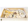 Image 1 : CORAL/SEA SHEELS/ STAR FISH- BOX LOT ASSORTED