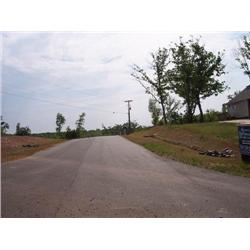 2209 Pinnacle View Drive