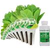 Image 1 : NEW AEROGARDEN MIXED ROMAINE SEED POD KIT 6 PODS