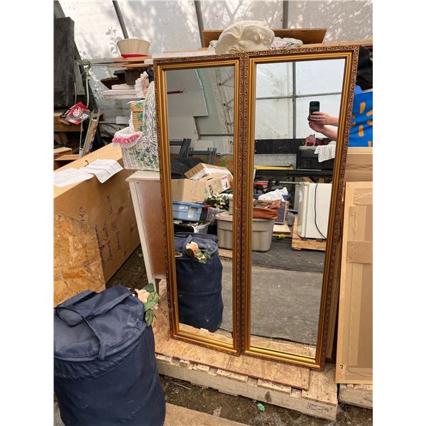 Pair of Mirrors 14.5Wx50.5H (1 horizontal mounted, 1 vertical)