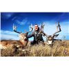 Image 2 : Alberta All-Inclusive Trophy Mule Deer & Whitetail Deer Combo Hunt for 2 Hunters. Ends Sept. 1st.