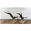 Image 3 : Mid Century Brass Pheasant Bookends
