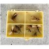 Image 2 : Collection of Montana Trout Fishing Flies