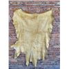 Image 2 : Leather Deer Hide