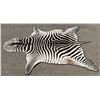 Image 1 : Very Nice Large African Taxidermy Zebra Rug