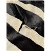 Image 3 : Very Nice Large African Taxidermy Zebra Rug