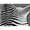 Image 7 : Very Nice Large African Taxidermy Zebra Rug