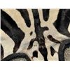 Image 9 : Very Nice Large African Taxidermy Zebra Rug